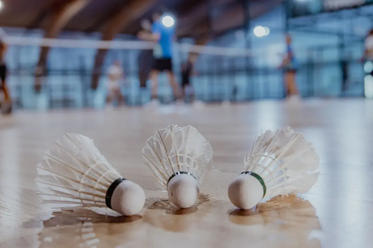 Badminton court in the Harmonija sports hall